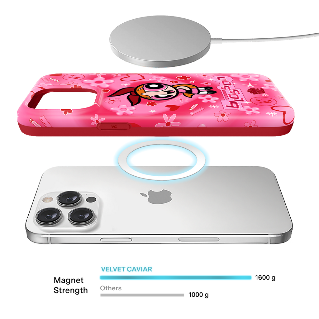 The Powerpuff Girls Blossom iPhone Case