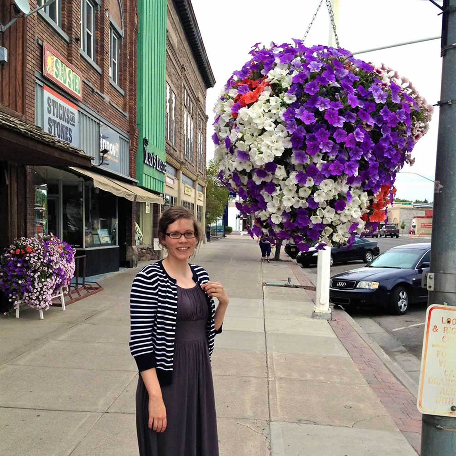 Bloom Master Hanging Baskets